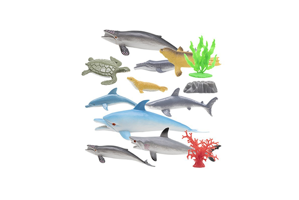海洋生物組
