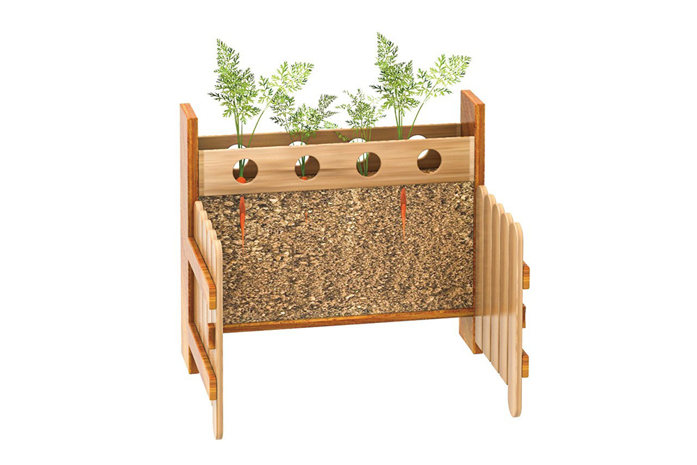 根部觀察牆板